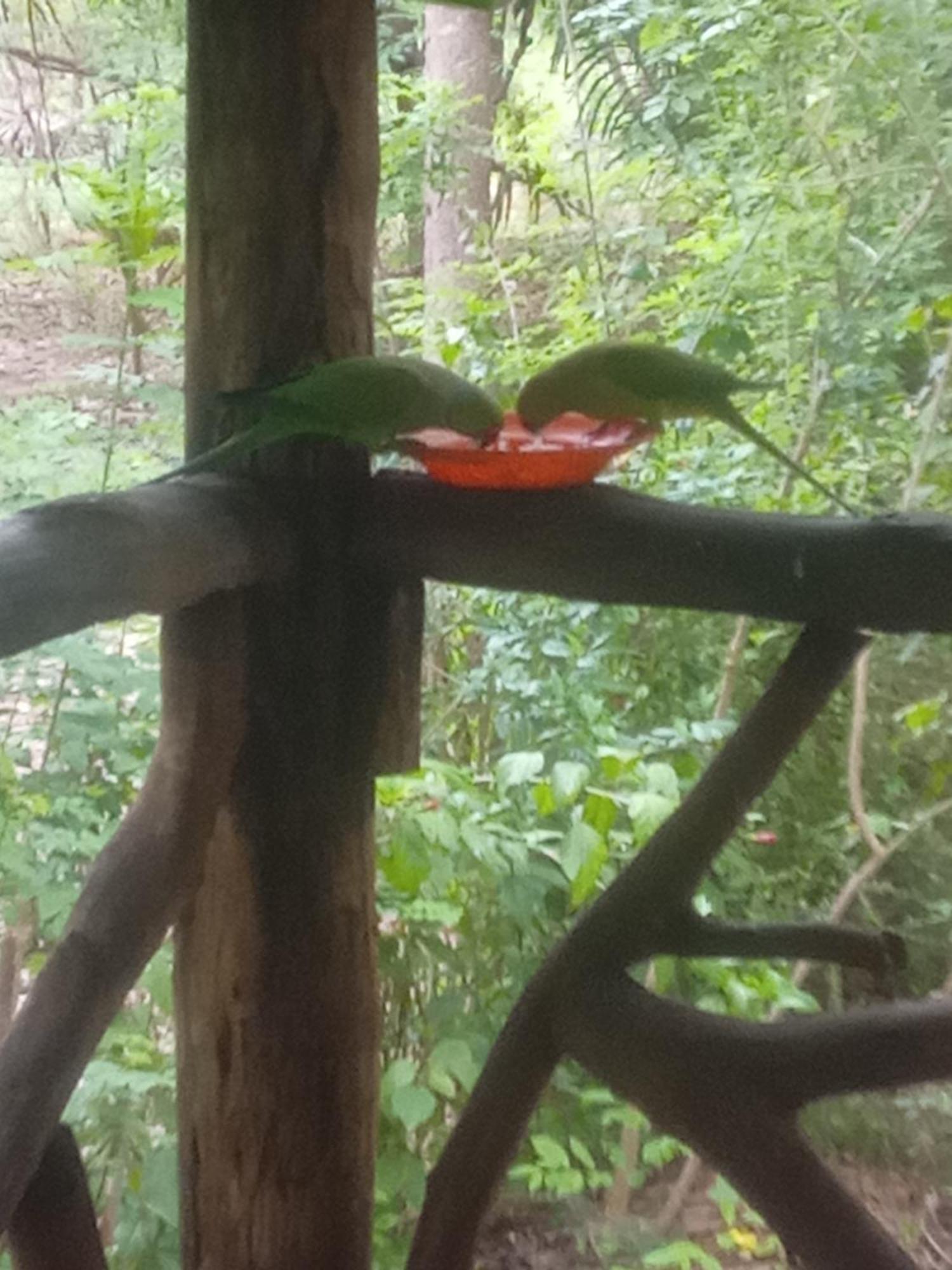 Aralu Habarana Resort Bagian luar foto