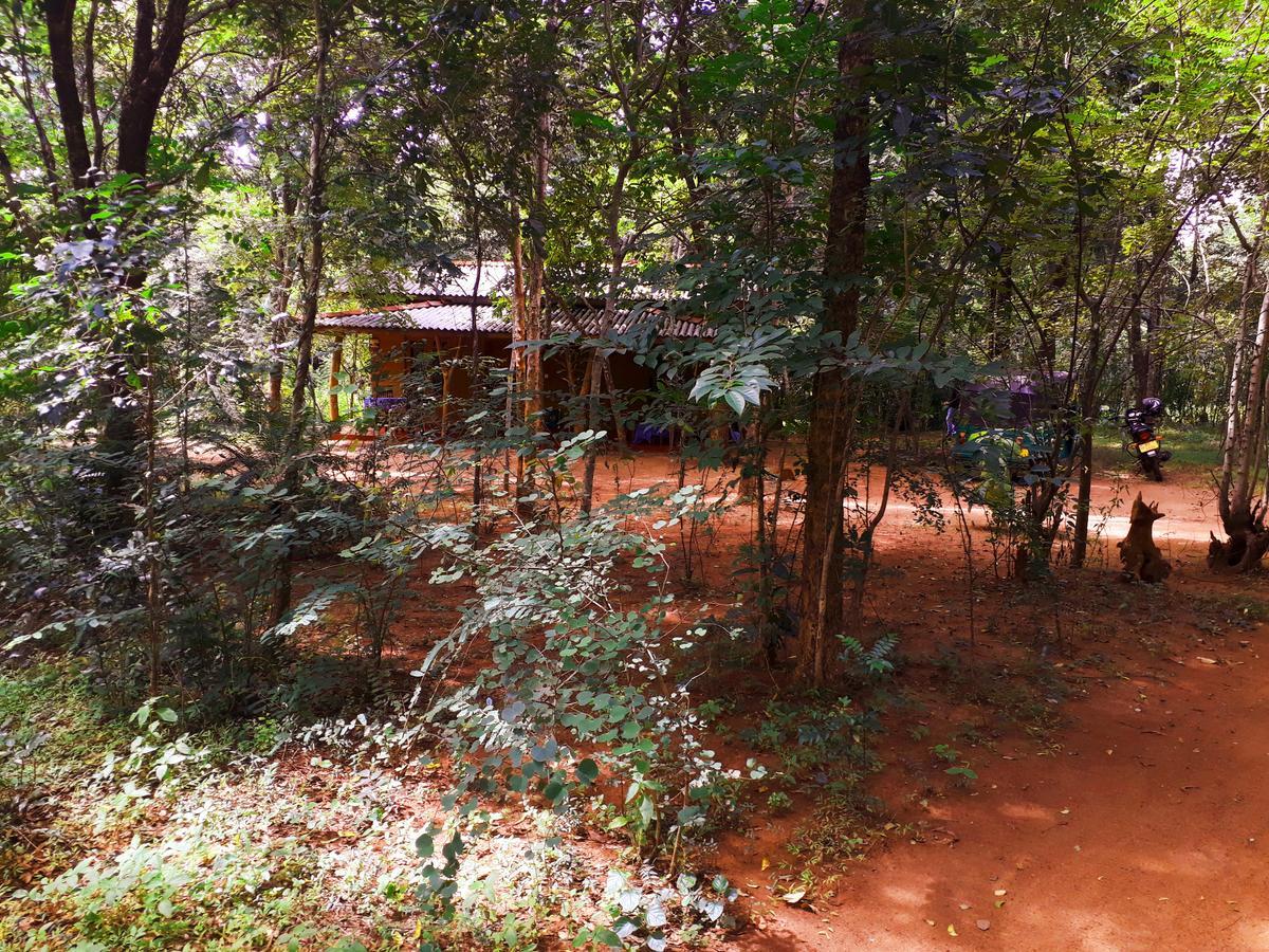 Aralu Habarana Resort Bagian luar foto