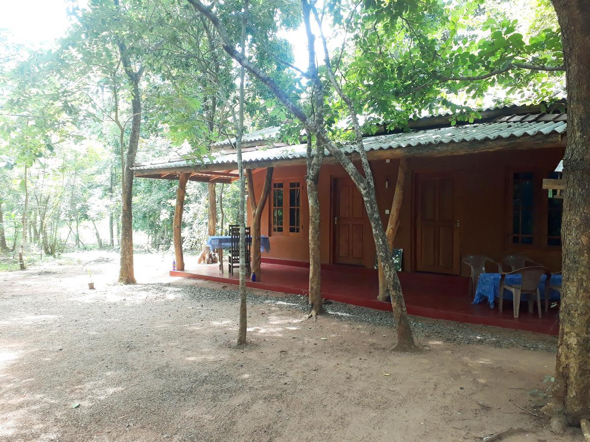 Aralu Habarana Resort Bagian luar foto