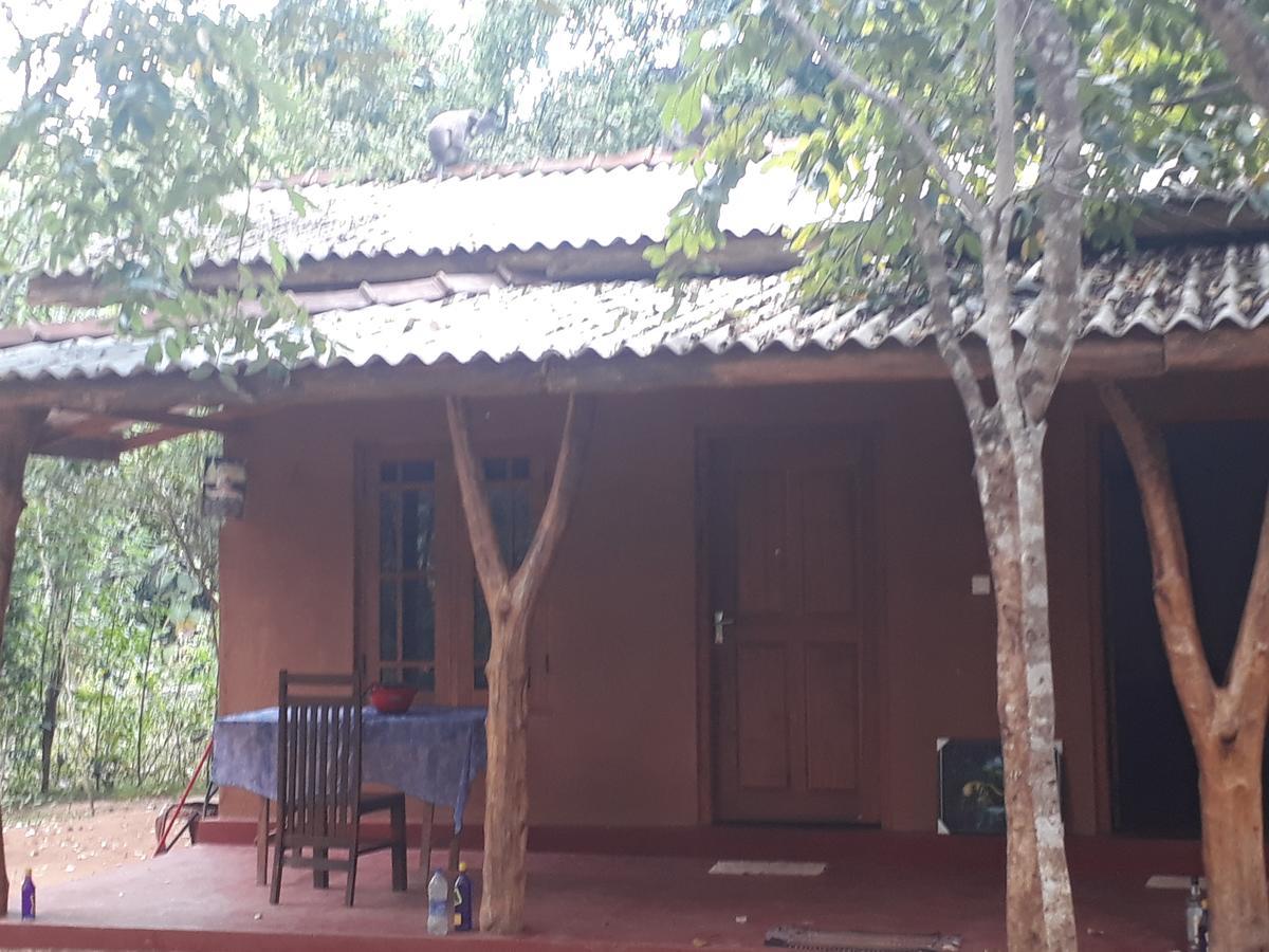 Aralu Habarana Resort Bagian luar foto